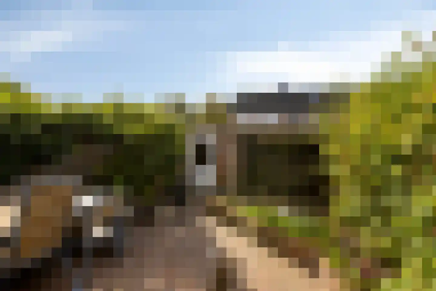 Koolzaadpad 19 Eindhoven thumbnail 34