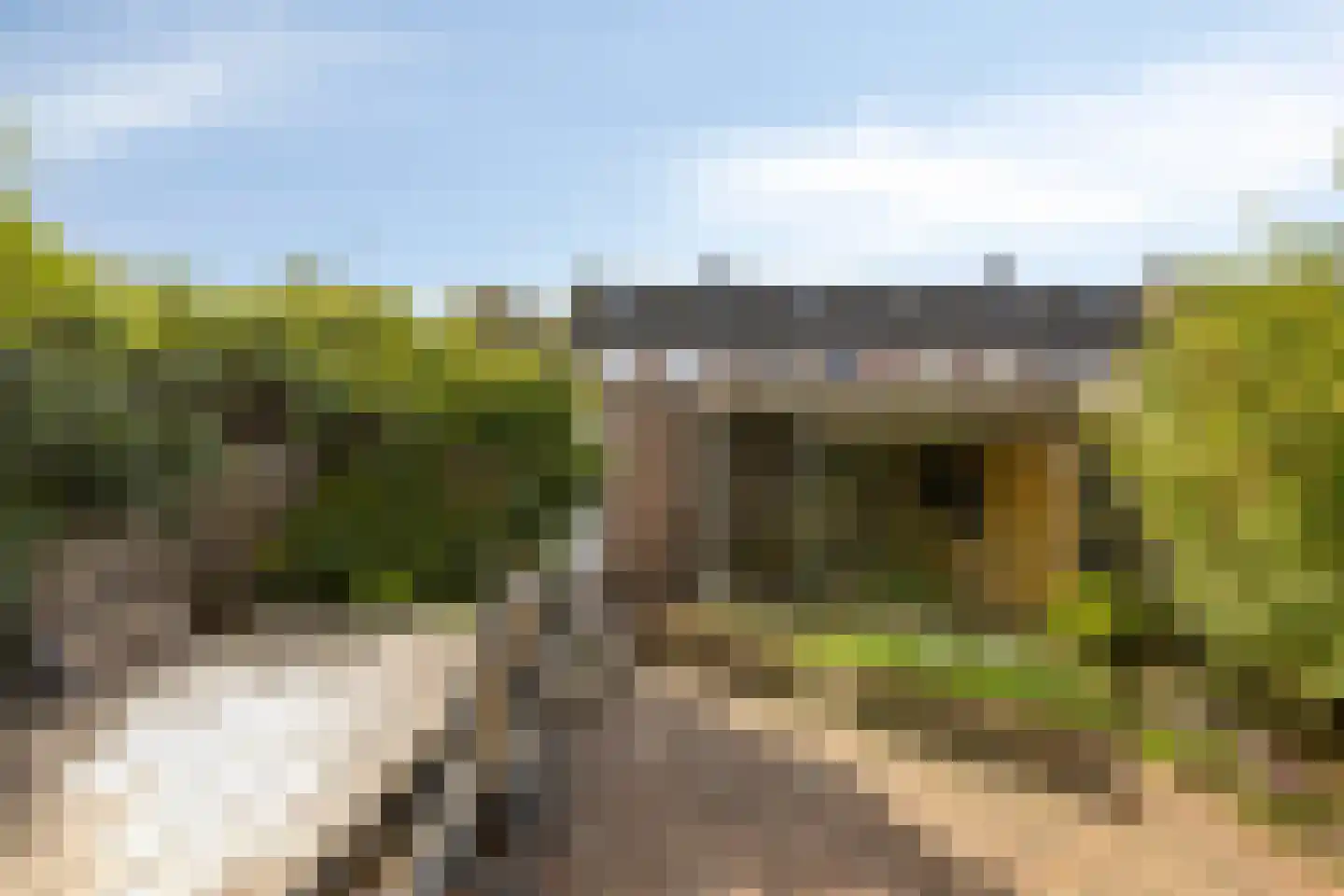 Koolzaadpad 19 Eindhoven thumbnail 35