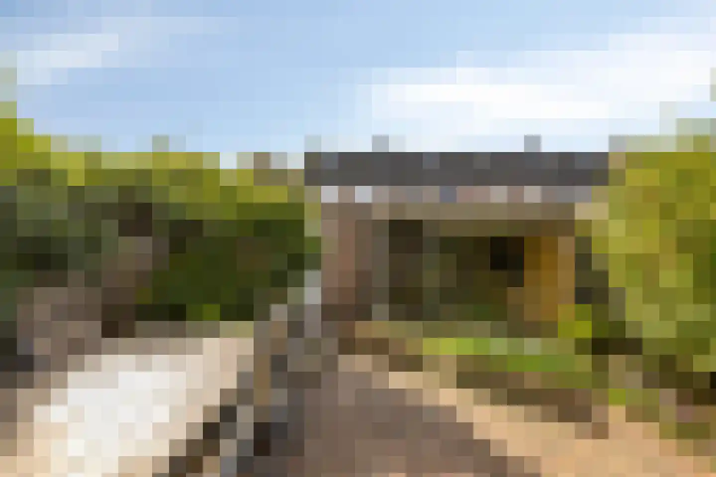 Koolzaadpad 19 Eindhoven thumbnail 4
