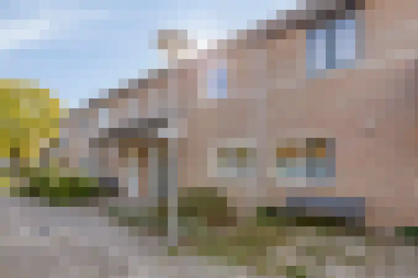 Koolzaadpad 19 Eindhoven thumbnail 5