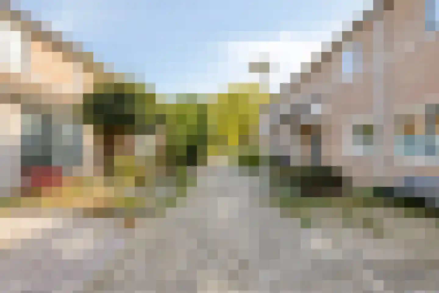 Koolzaadpad 19 Eindhoven thumbnail 6