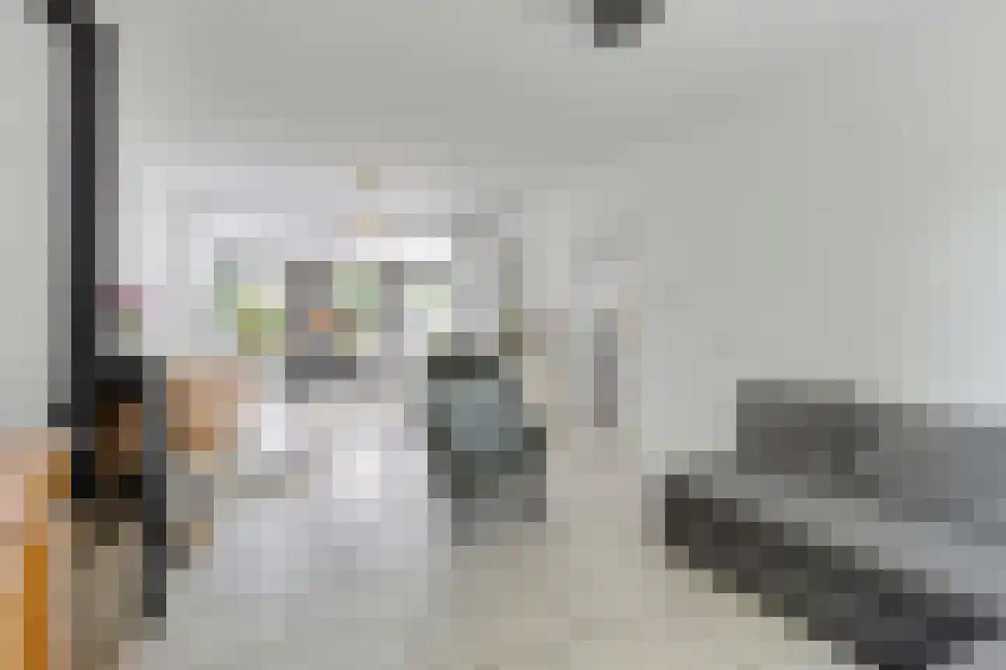 Koolzaadpad 2 Eindhoven thumbnail 12