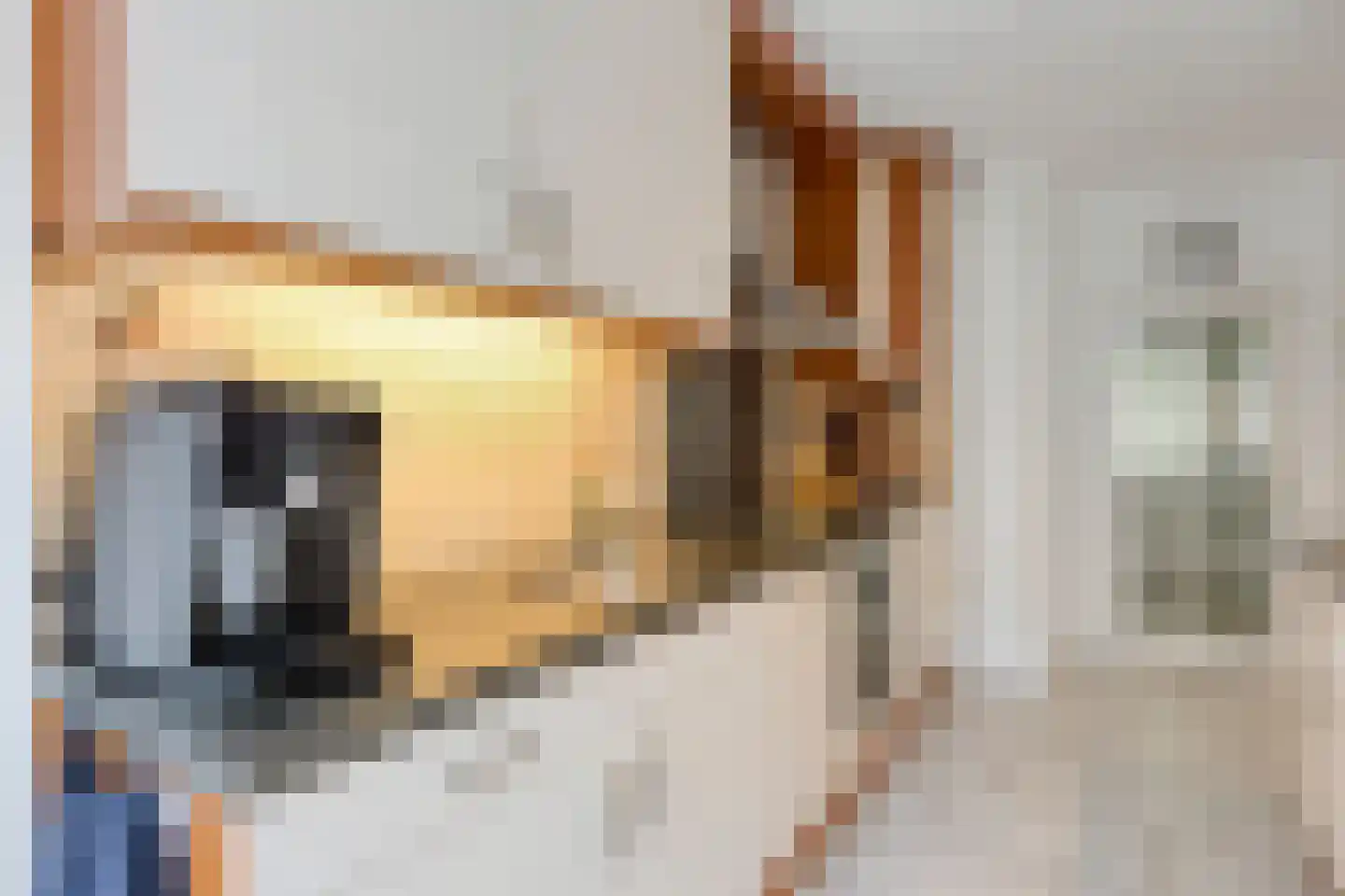 Koolzaadpad 2 Eindhoven thumbnail 17