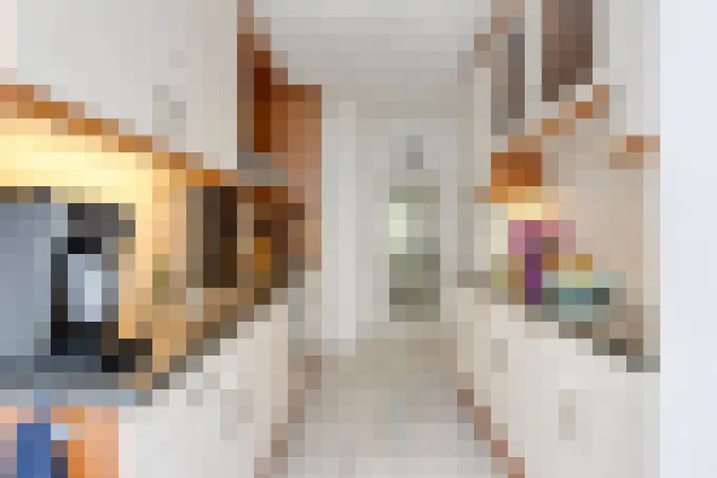 Koolzaadpad 2 Eindhoven thumbnail 18