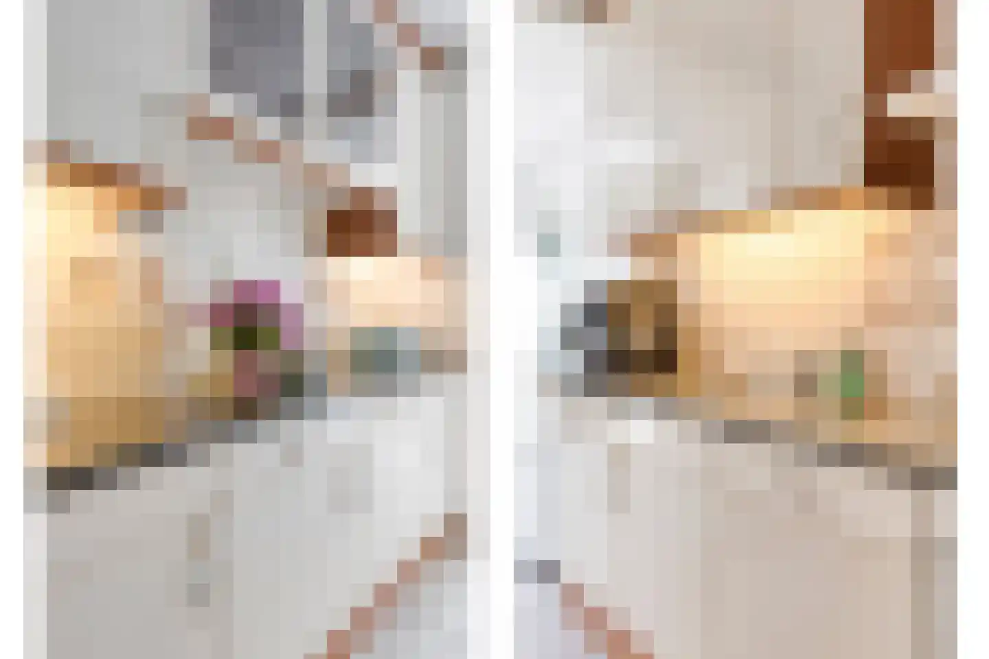 Koolzaadpad 2 Eindhoven thumbnail 18