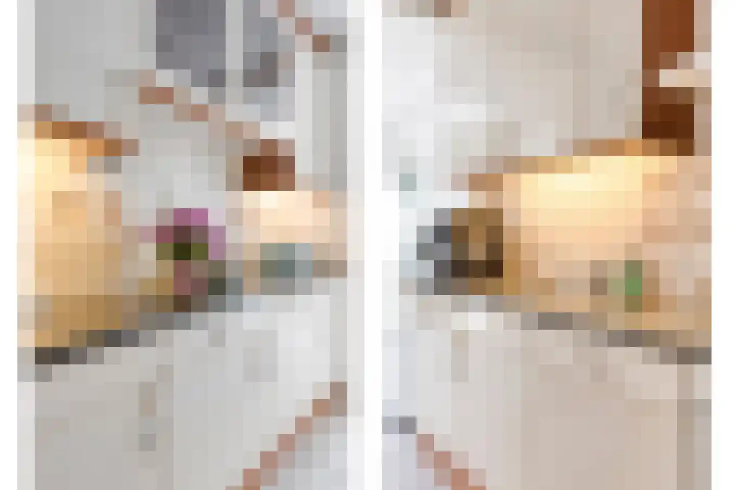 Koolzaadpad 2 Eindhoven thumbnail 19