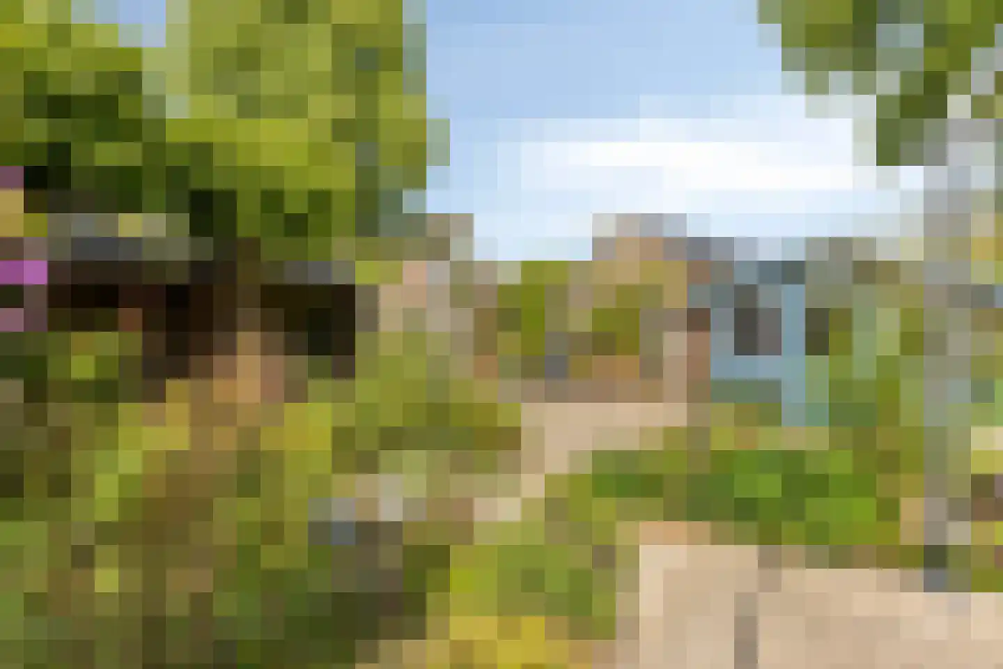 Koolzaadpad 2 Eindhoven thumbnail 40