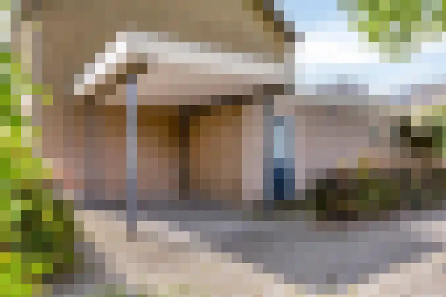 Koolzaadpad 2 Eindhoven thumbnail 43