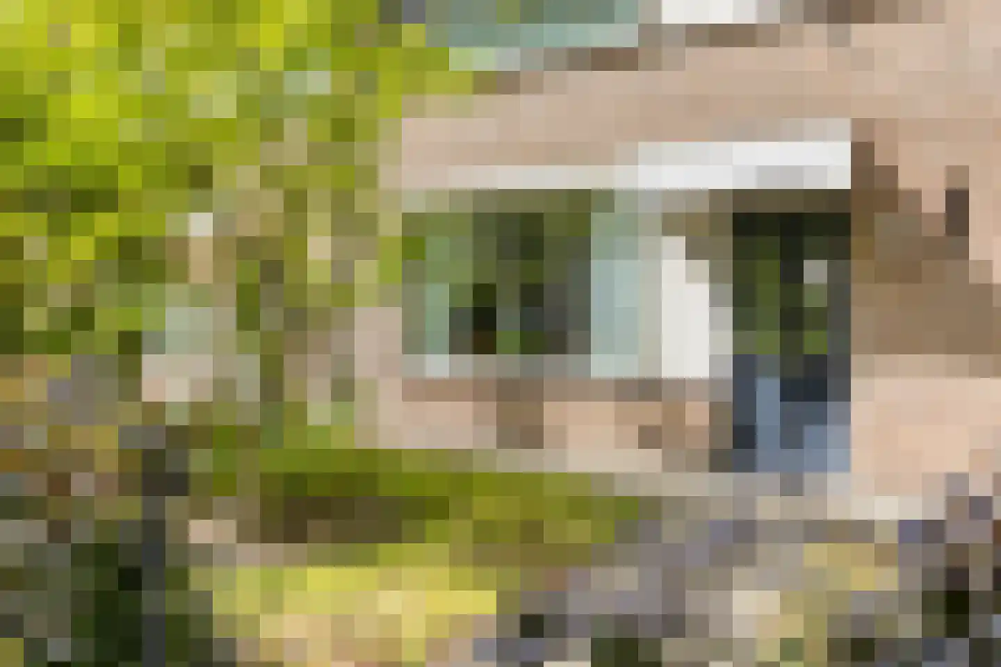 Koolzaadpad 2 Eindhoven thumbnail 43