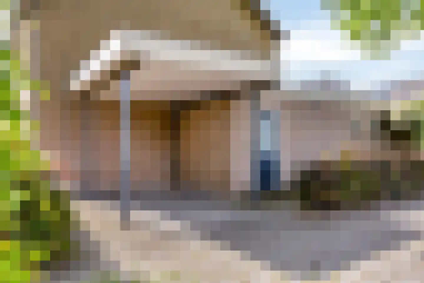 Koolzaadpad 2 Eindhoven thumbnail 44