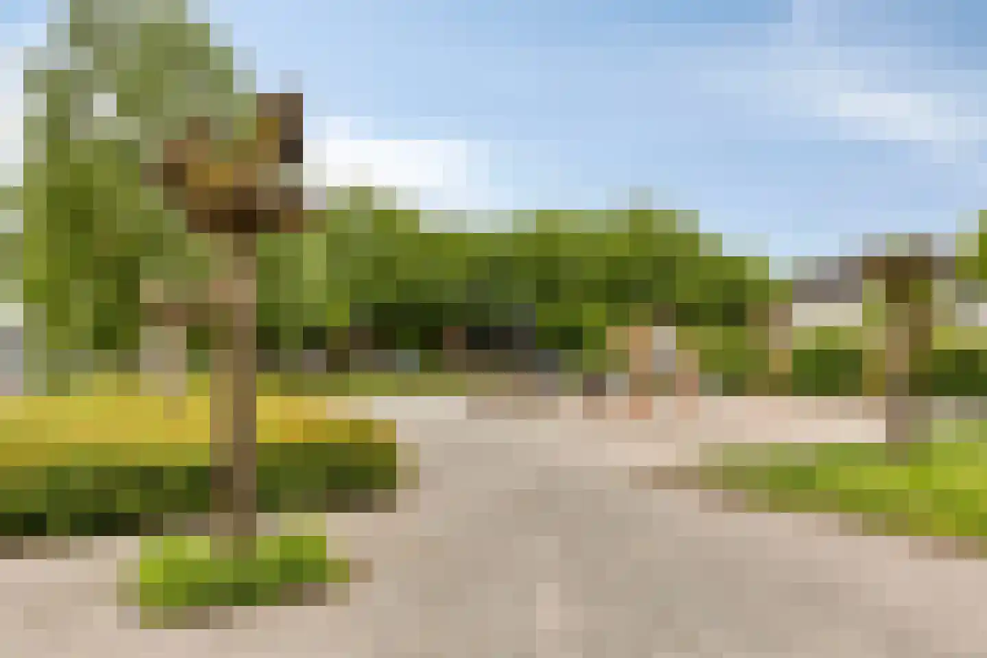 Koolzaadpad 2 Eindhoven thumbnail 48