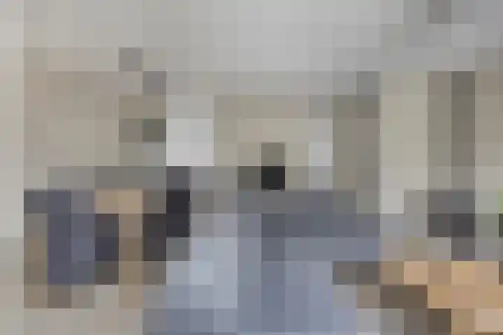 Koolzaadpad 23 Eindhoven thumbnail 10
