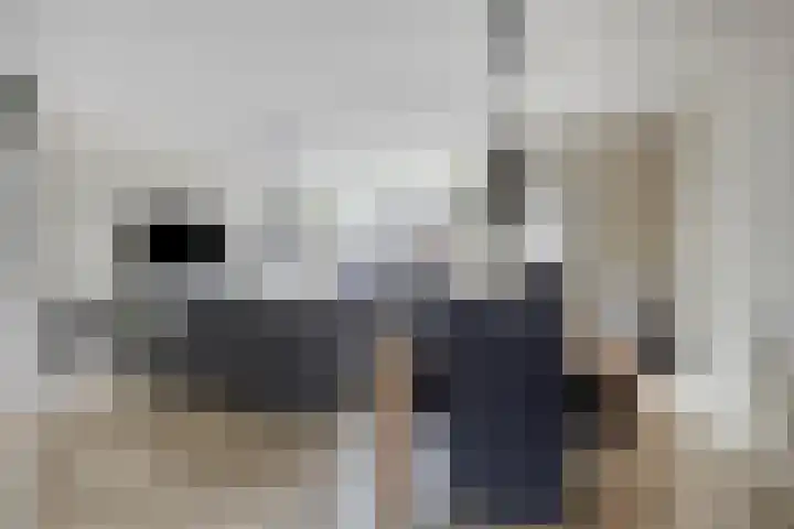 Koolzaadpad 23 Eindhoven thumbnail 11