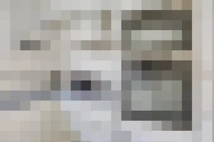 Koolzaadpad 23 Eindhoven thumbnail 14
