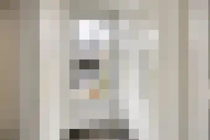Koolzaadpad 23 Eindhoven thumbnail 15