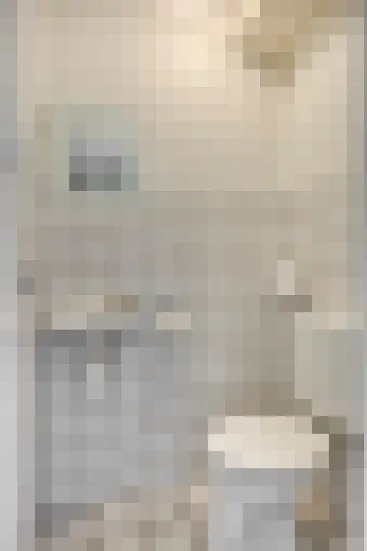Koolzaadpad 23 Eindhoven thumbnail 16