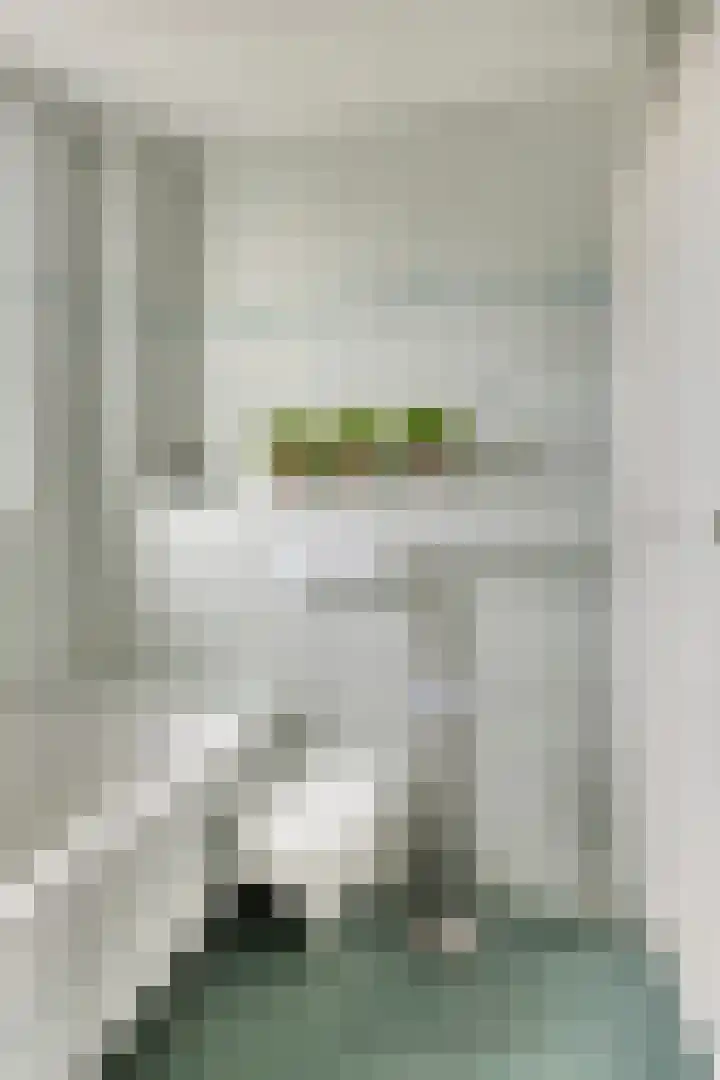 Koolzaadpad 23 Eindhoven thumbnail 22