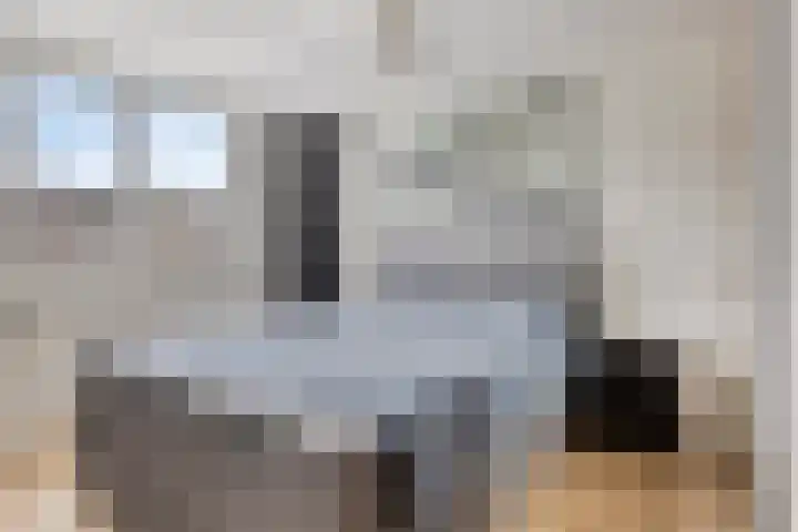 Koolzaadpad 23 Eindhoven thumbnail 23