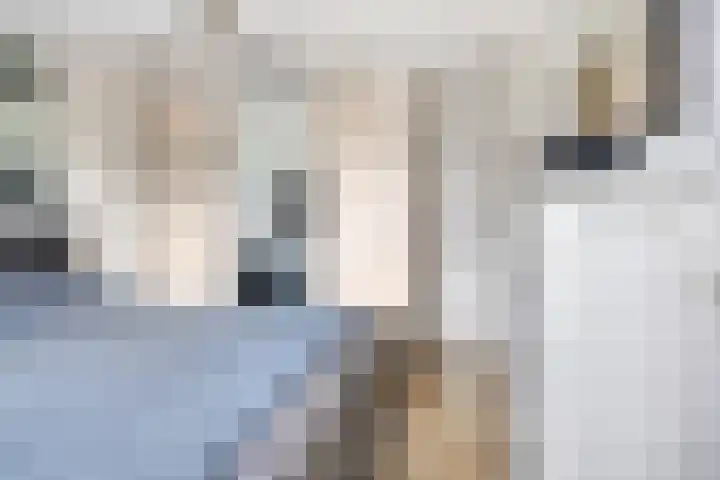 Koolzaadpad 23 Eindhoven thumbnail 24