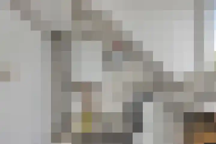 Koolzaadpad 23 Eindhoven thumbnail 29