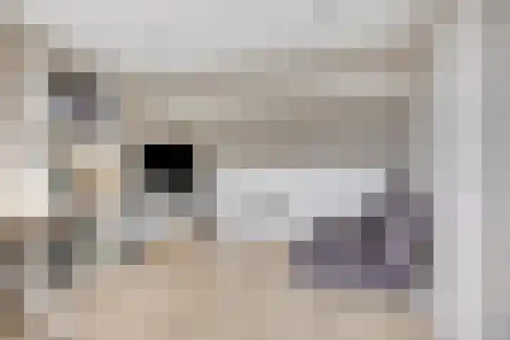 Koolzaadpad 23 Eindhoven thumbnail 31