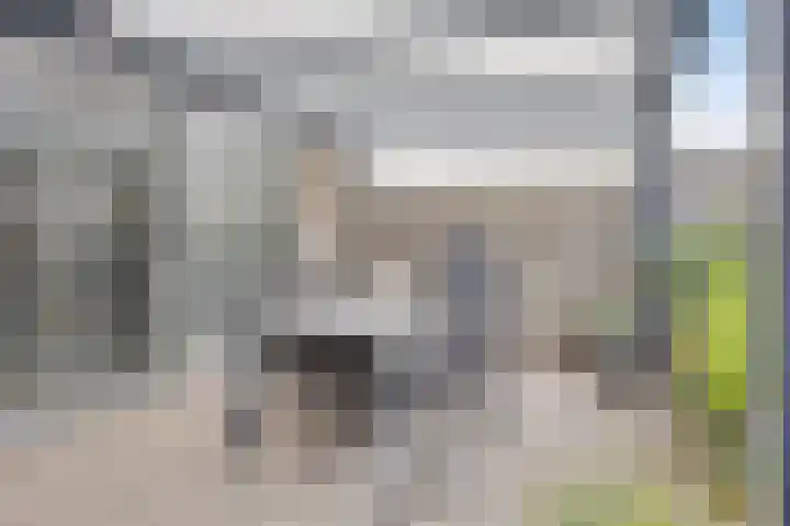 Koolzaadpad 23 Eindhoven thumbnail 32