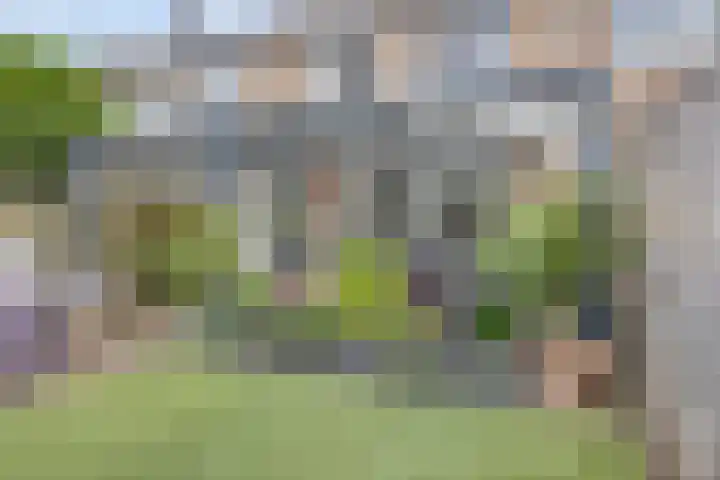 Koolzaadpad 23 Eindhoven thumbnail 33