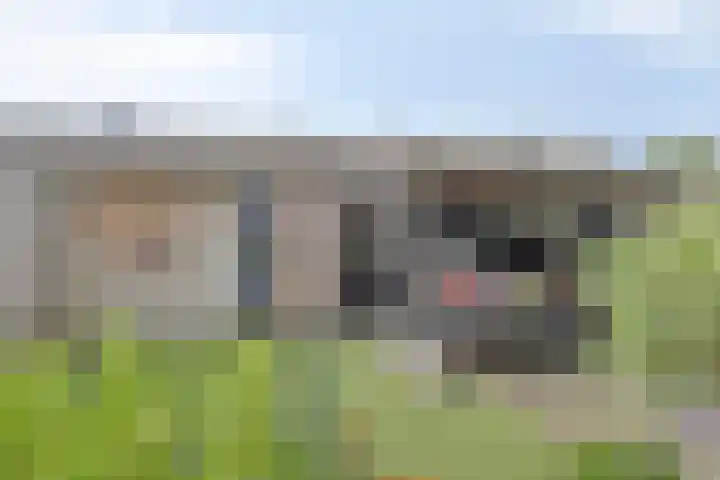 Koolzaadpad 23 Eindhoven thumbnail 34
