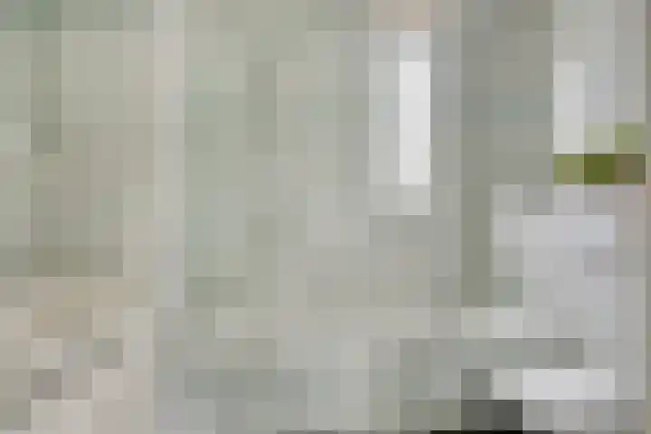 Koolzaadpad 23 Eindhoven thumbnail 39