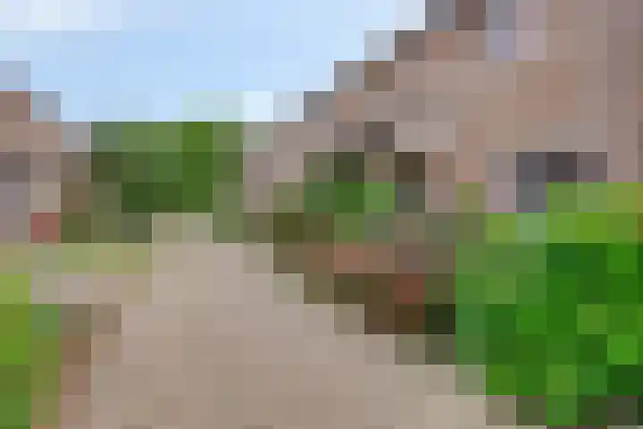 Koolzaadpad 23 Eindhoven thumbnail 4