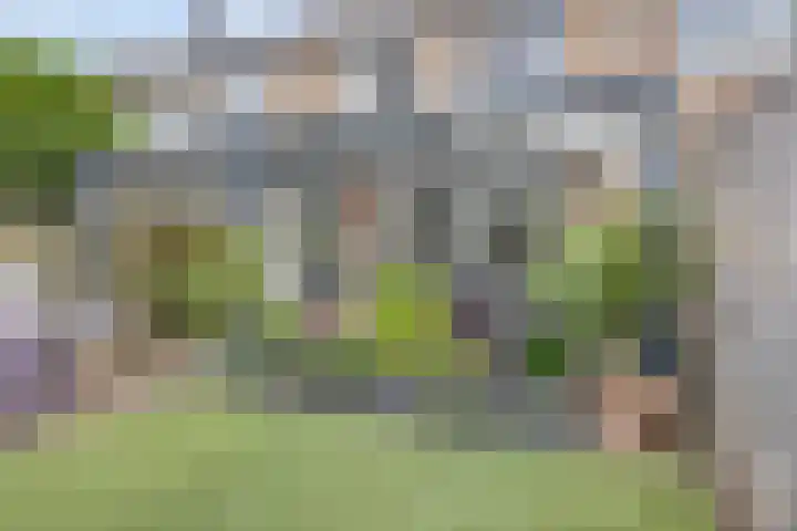 Koolzaadpad 23 Eindhoven thumbnail 40