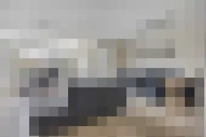 Koolzaadpad 23 Eindhoven thumbnail 6