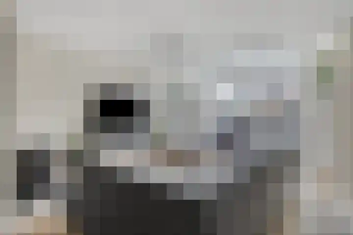 Koolzaadpad 23 Eindhoven thumbnail 7