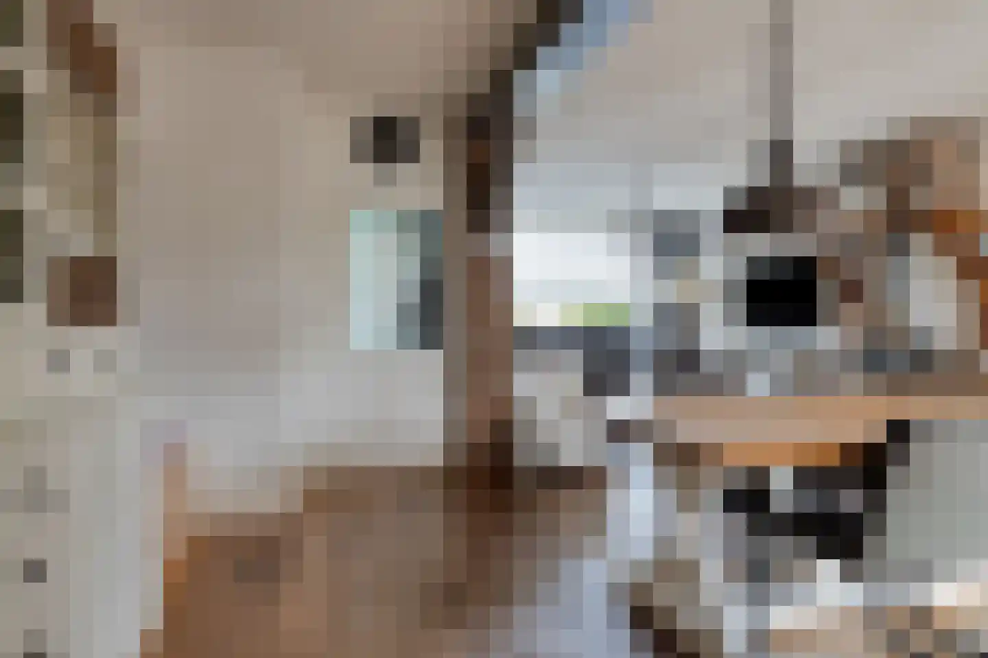 Koolzaadpad 5 Eindhoven thumbnail 15