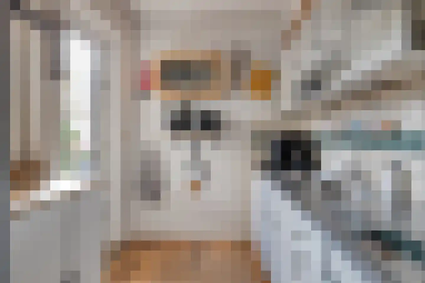 Koolzaadpad 5 Eindhoven thumbnail 16