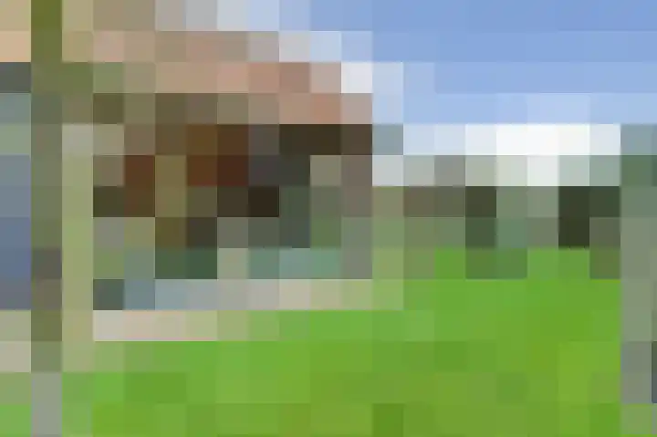 Koolzaadpad 5 Eindhoven thumbnail 45