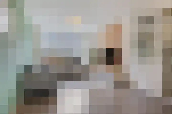 Koolzaadpad 8 Eindhoven thumbnail 11