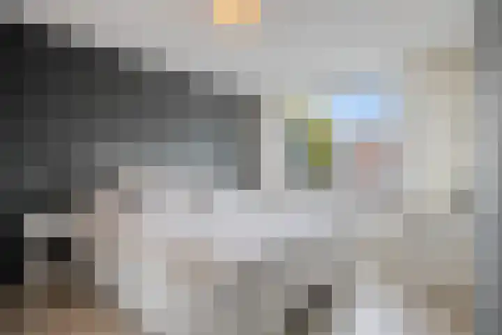 Koolzaadpad 8 Eindhoven thumbnail 16