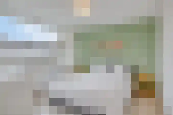 Koolzaadpad 8 Eindhoven thumbnail 18