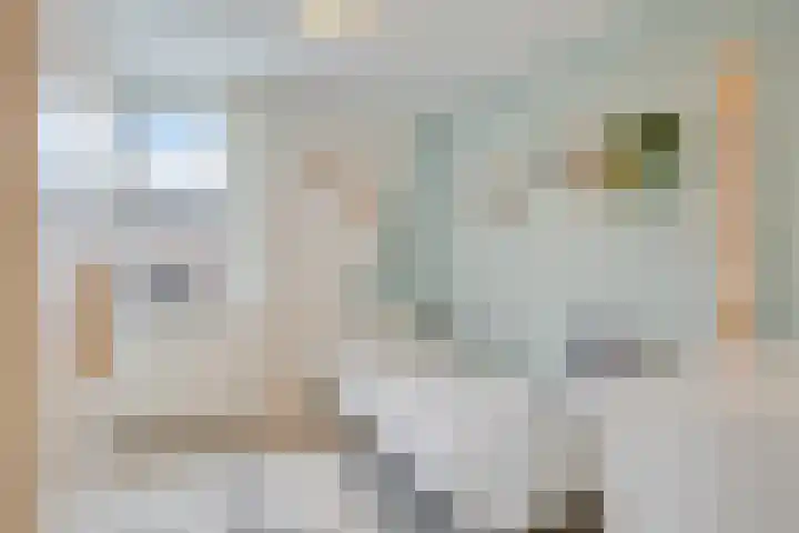Koolzaadpad 8 Eindhoven thumbnail 19