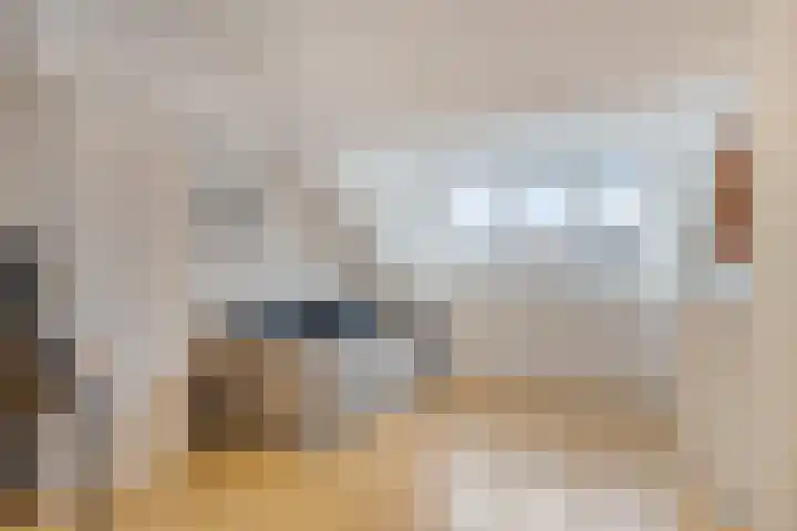 Koolzaadpad 8 Eindhoven thumbnail 24