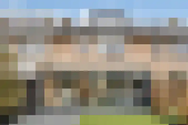 Koolzaadpad 8 Eindhoven thumbnail 26