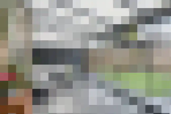 Koolzaadpad 8 Eindhoven thumbnail 28