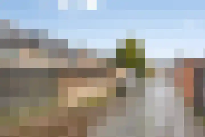 Koolzaadpad 8 Eindhoven thumbnail 30