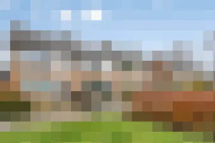 Koolzaadpad 8 Eindhoven thumbnail 31