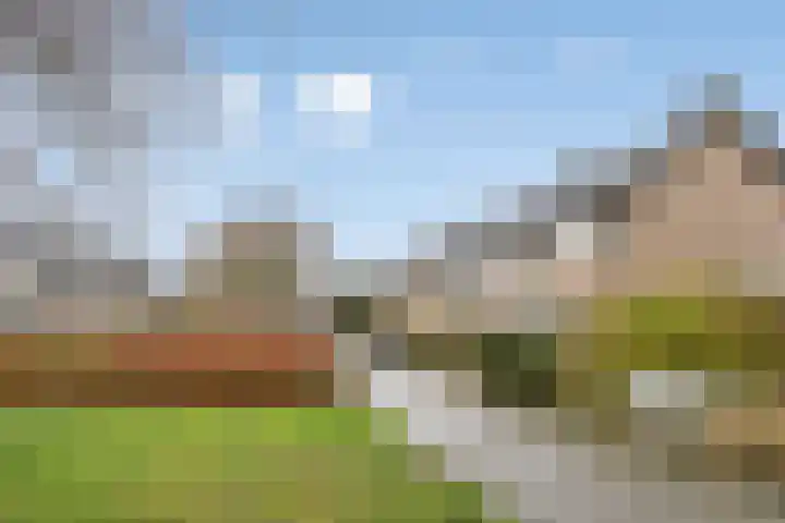 Koolzaadpad 8 Eindhoven thumbnail 32
