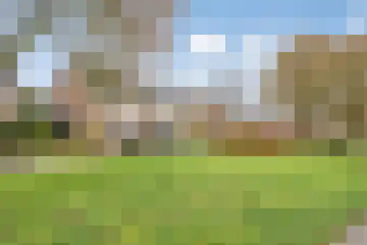 Koolzaadpad 8 Eindhoven thumbnail 33