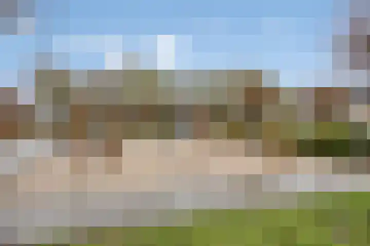 Koolzaadpad 8 Eindhoven thumbnail 34