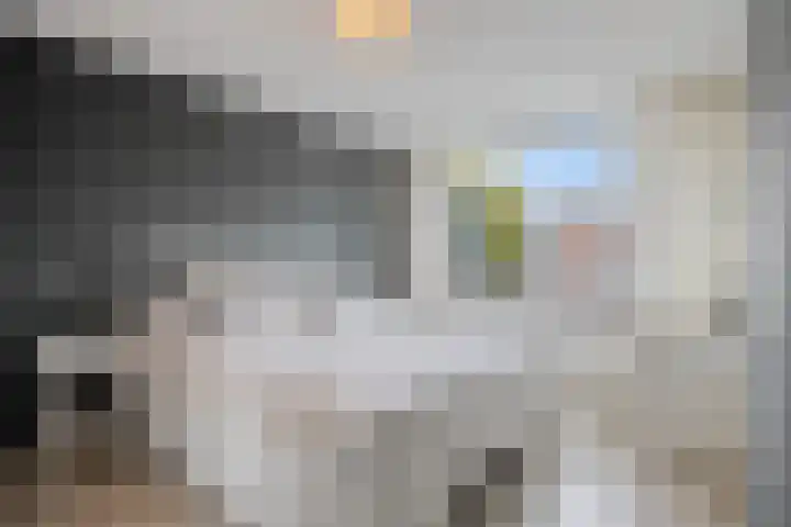 Koolzaadpad 8 Eindhoven thumbnail 4
