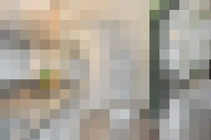 Koolzaadpad 8 Eindhoven thumbnail 9